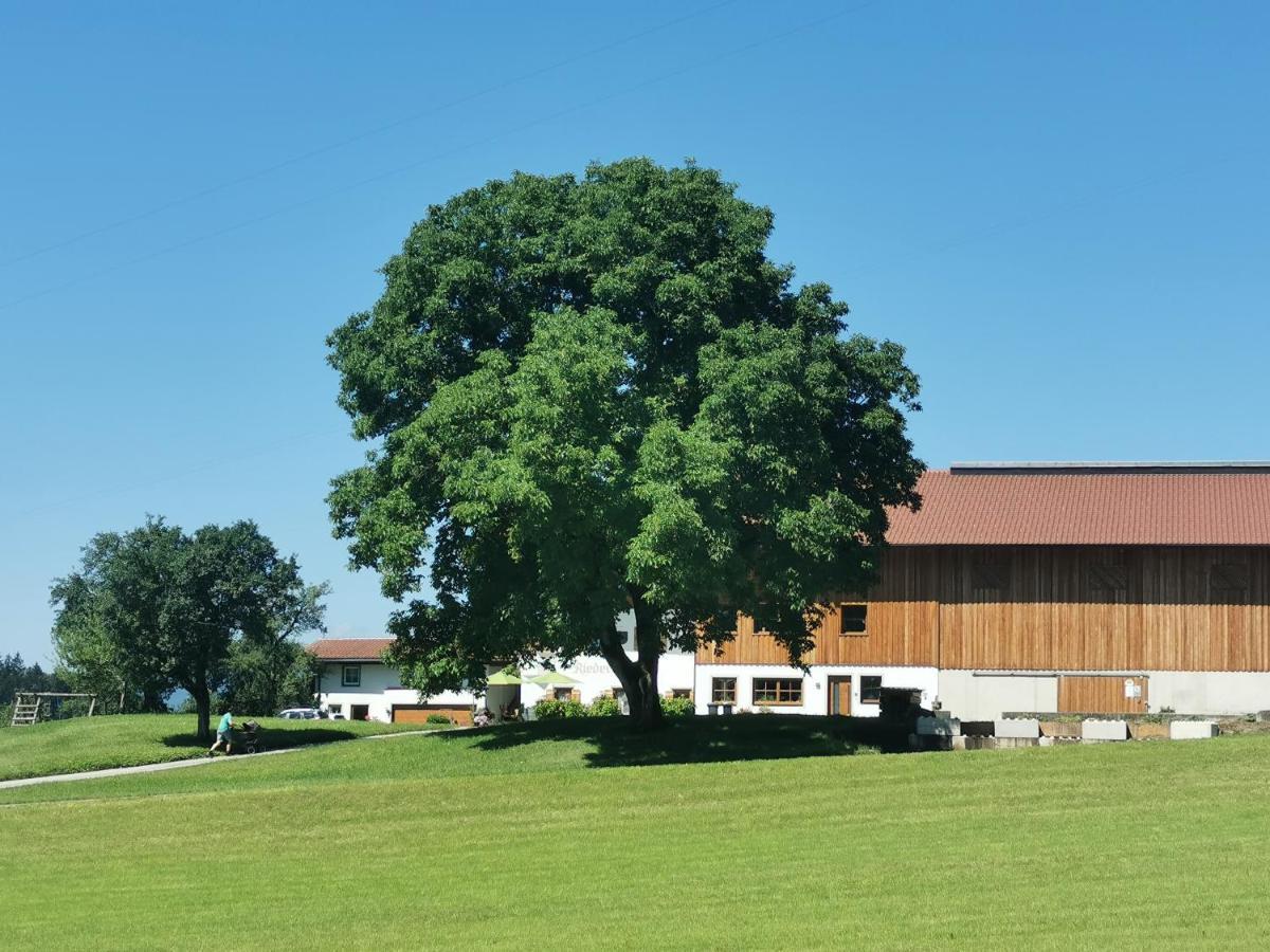 Biobauernhof und Ferienhaus Riederbauer Rettenschöss Exterior foto